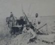 Уборка урожая, 1940-е гг.