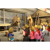 «Я покажу тебе музей»