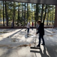 Санитарная пятница