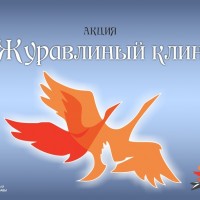 "Журавлиный клин" в память о неизвестном солдате