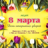 Акция «День открытых дверей»