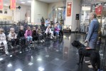 День фронтовой собаки